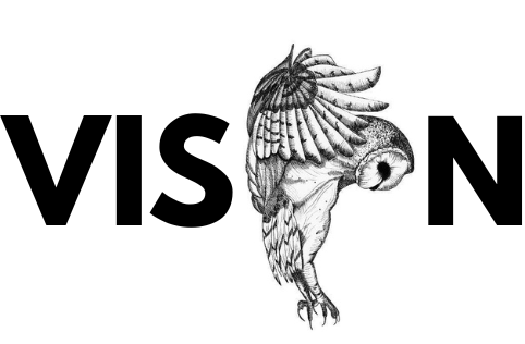 VISION